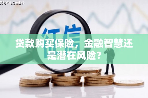 普格贷款购买保险，金融智慧还是潜在风险？