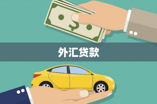 普格外汇贷款