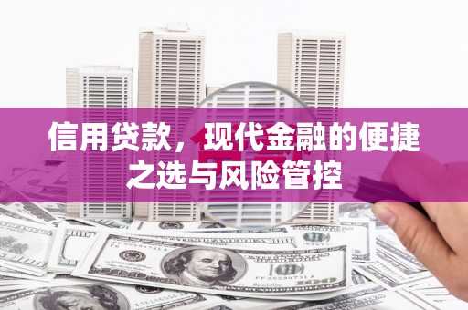 普格信用贷款，现代金融的便捷之选与风险管控