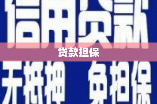 普格贷款担保