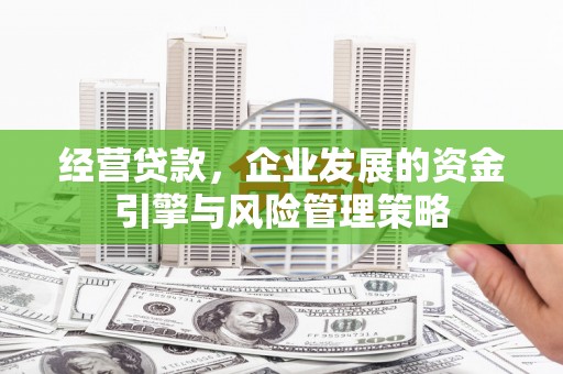 普格经营贷款，企业发展的资金引擎与风险管理策略