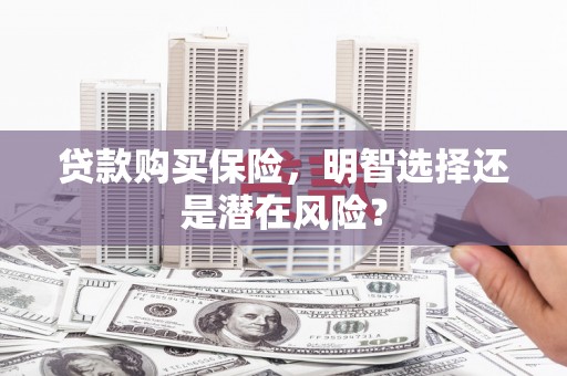 普格贷款购买保险，明智选择还是潜在风险？