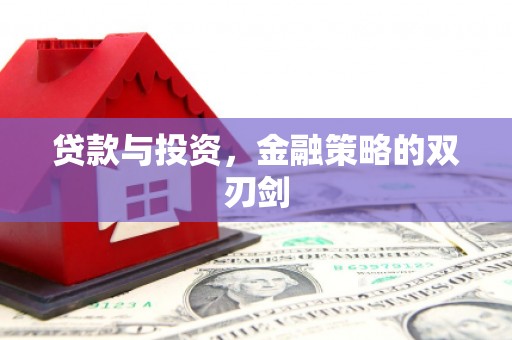 普格贷款与投资，金融策略的双刃剑