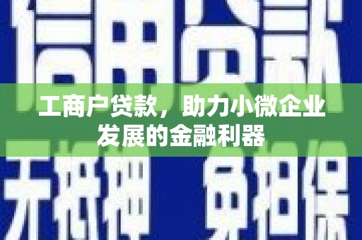普格工商户贷款，助力小微企业发展的金融利器