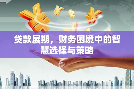 普格贷款展期，财务困境中的智慧选择与策略