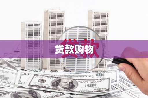 普格贷款购物