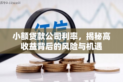 普格小额贷款公司利率，揭秘高收益背后的风险与机遇