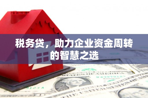 普格税务贷，助力企业资金周转的智慧之选