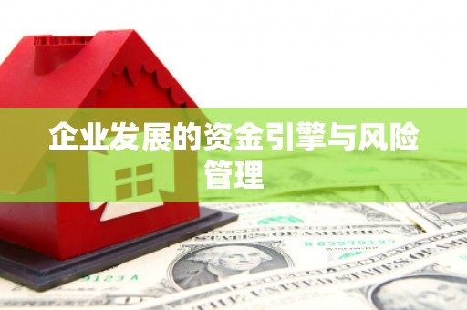 普格企业发展的资金引擎与风险管理