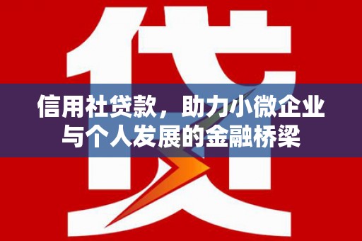 普格信用社贷款，助力小微企业与个人发展的金融桥梁