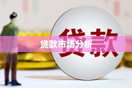 普格贷款市场分析