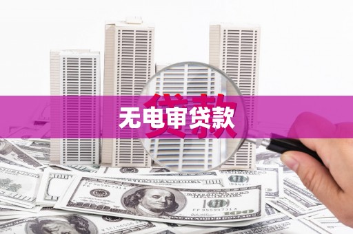 普格无电审贷款