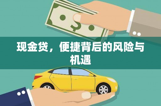 普格现金贷，便捷背后的风险与机遇