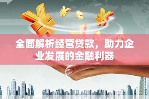 普格全面解析经营贷款，助力企业发展的金融利器