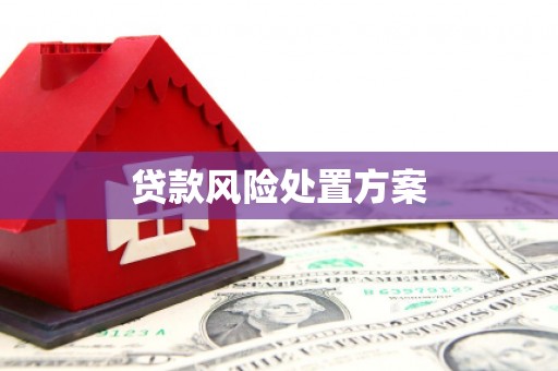 普格贷款风险处置方案