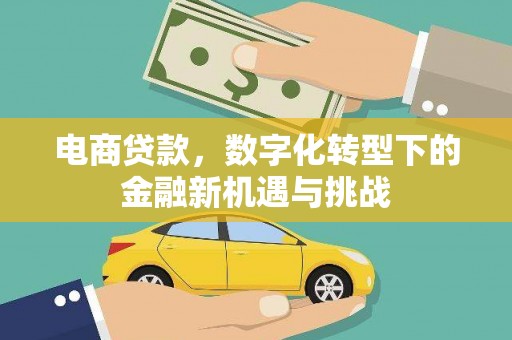 普格电商贷款，数字化转型下的金融新机遇与挑战