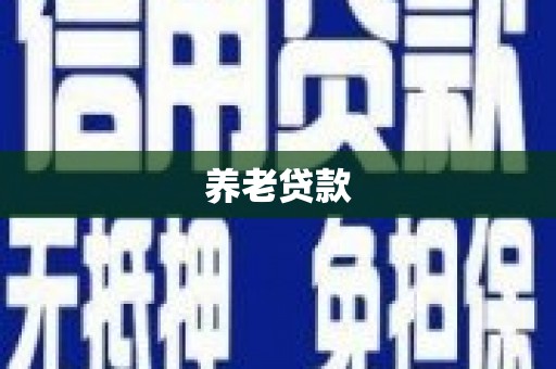 普格养老贷款