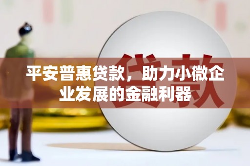 普格平安普惠贷款，助力小微企业发展的金融利器