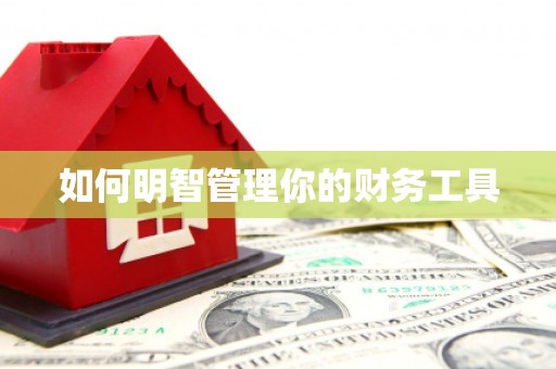 普格如何明智管理你的财务工具