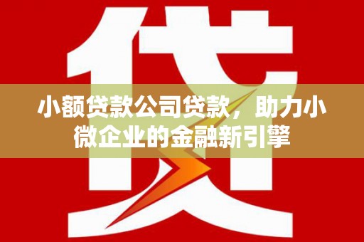 普格小额贷款公司贷款，助力小微企业的金融新引擎
