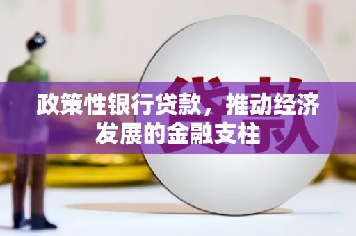 普格政策性银行贷款，推动经济发展的金融支柱