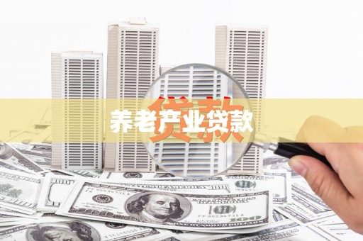 普格养老产业贷款