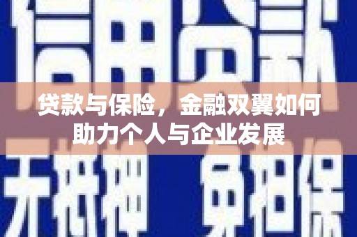 普格贷款与保险，金融双翼如何助力个人与企业发展