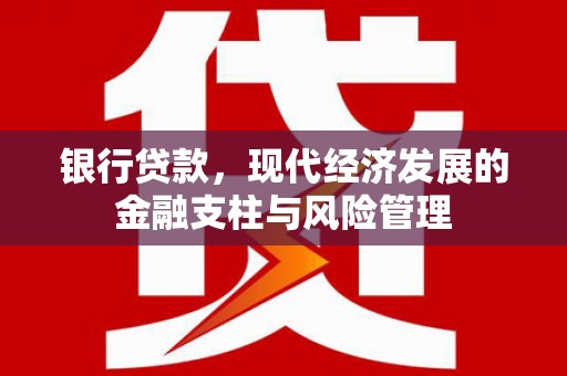普格银行贷款，现代经济发展的金融支柱与风险管理
