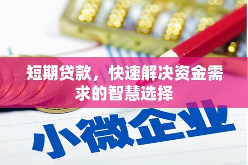 普格短期贷款，快速解决资金需求的智慧选择