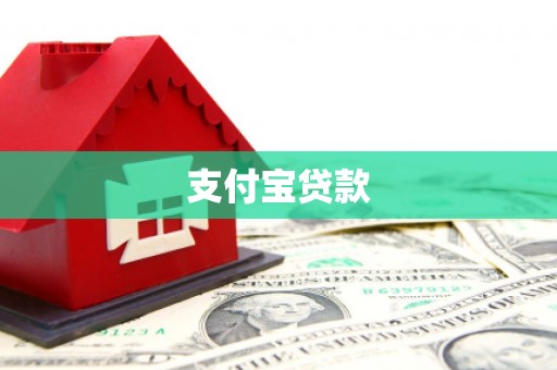普格支付宝贷款