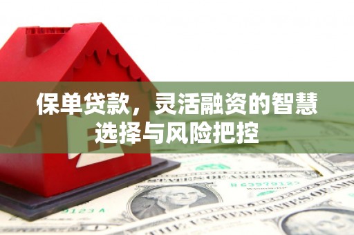 普格保单贷款，灵活融资的智慧选择与风险把控
