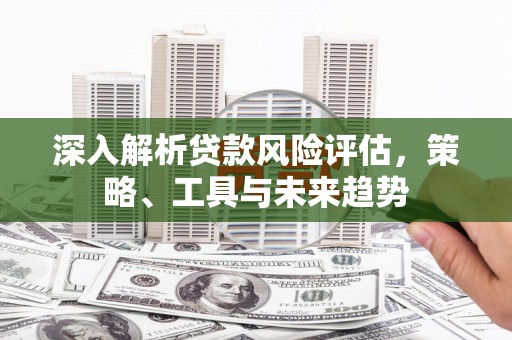 普格深入解析贷款风险评估，策略、工具与未来趋势
