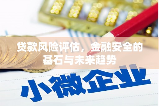 普格贷款风险评估，金融安全的基石与未来趋势