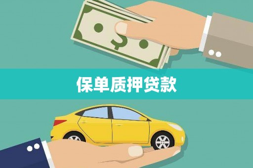 普格保单质押贷款