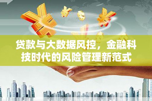 普格贷款与大数据风控，金融科技时代的风险管理新范式