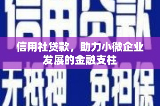 普格信用社贷款，助力小微企业发展的金融支柱