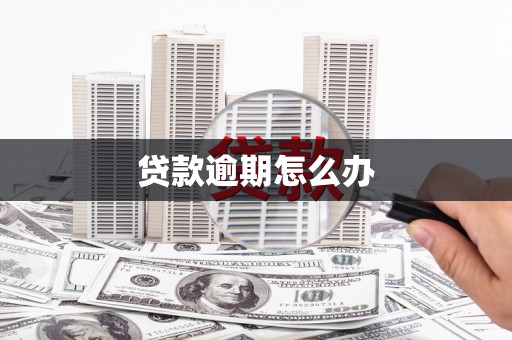 普格贷款逾期怎么办