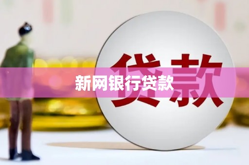 普格新网银行贷款