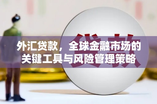 普格外汇贷款，全球金融市场的关键工具与风险管理策略