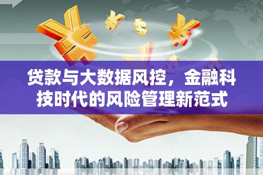 普格贷款与大数据风控，金融科技时代的风险管理新范式