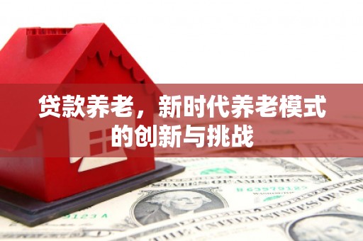 普格贷款养老，新时代养老模式的创新与挑战