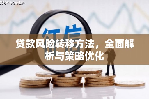 普格贷款风险转移方法，全面解析与策略优化
