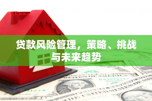 普格贷款风险管理，策略、挑战与未来趋势
