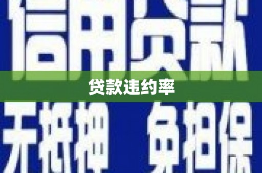 普格贷款违约率