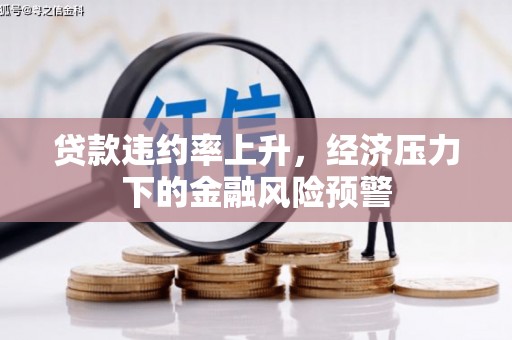 普格贷款违约率上升，经济压力下的金融风险预警