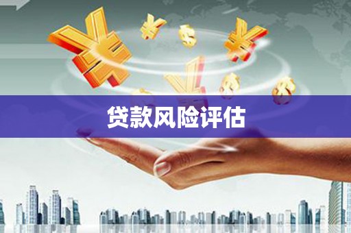 普格贷款风险评估