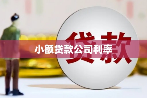普格小额贷款公司利率
