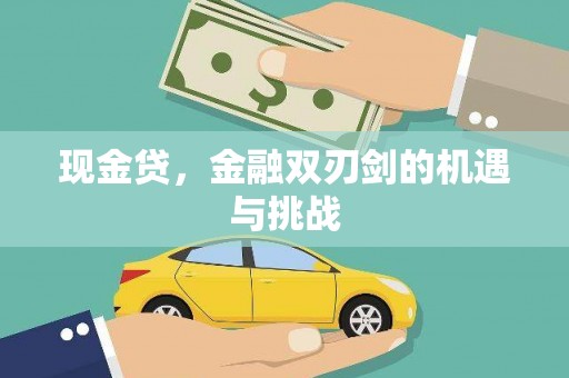 普格现金贷，金融双刃剑的机遇与挑战