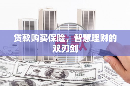 普格贷款购买保险，智慧理财的双刃剑