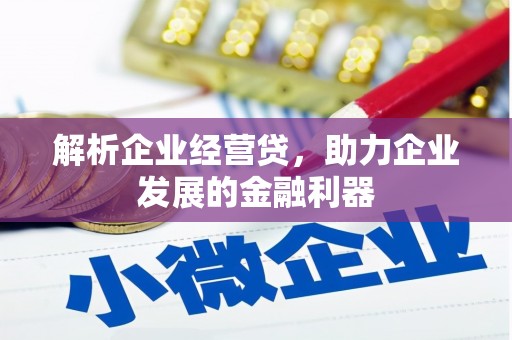 普格解析企业经营贷，助力企业发展的金融利器